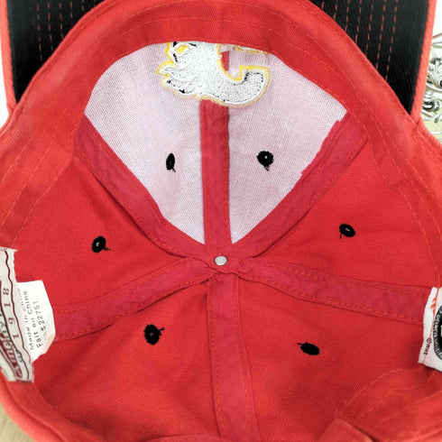 アメリカンニードル American Needle NHL チームロゴ刺繍テープバックキャップ メンズ